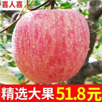 新鲜苹果水果应季红富士苹果批发一整箱平果5斤包邮吃的萍果【自营】